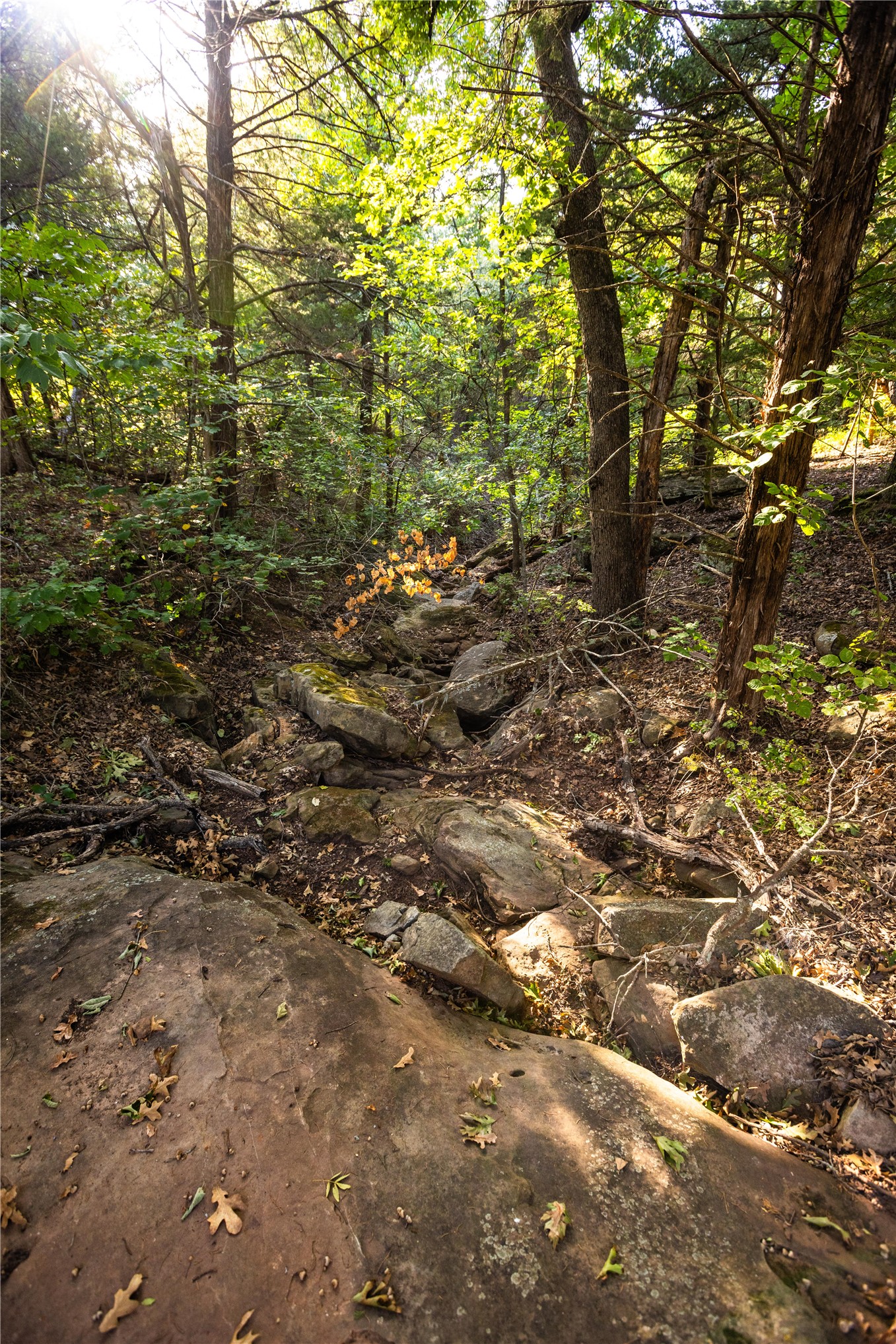 0000 W Dunkin Road Property Photo 38