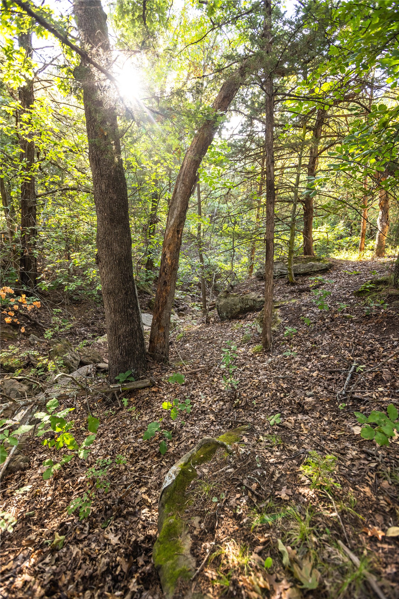0000 W Dunkin Road Property Photo 41