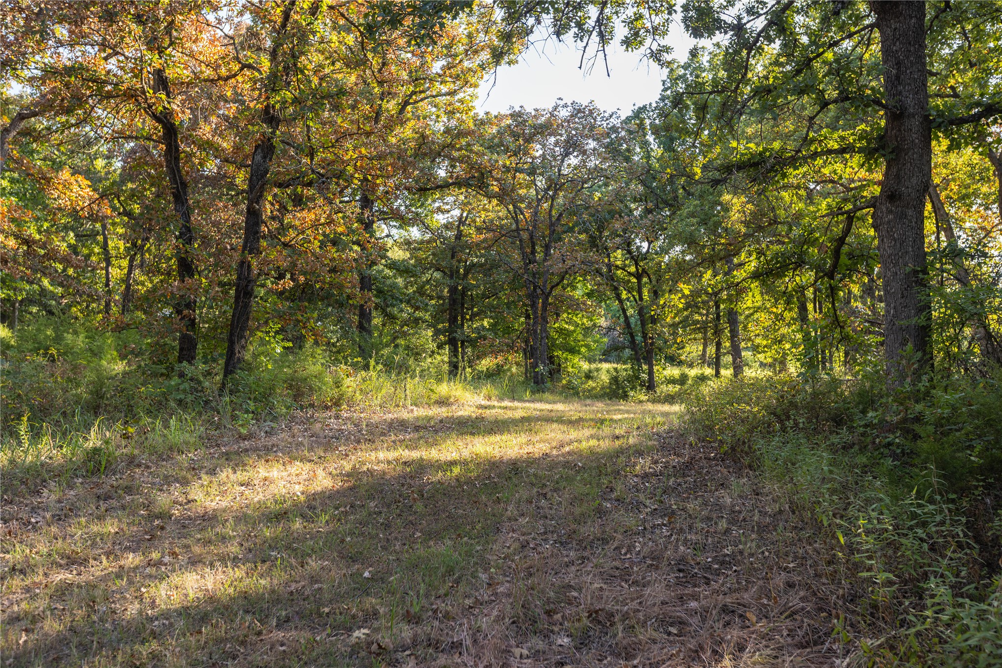 0000 W Dunkin Road Property Photo 43