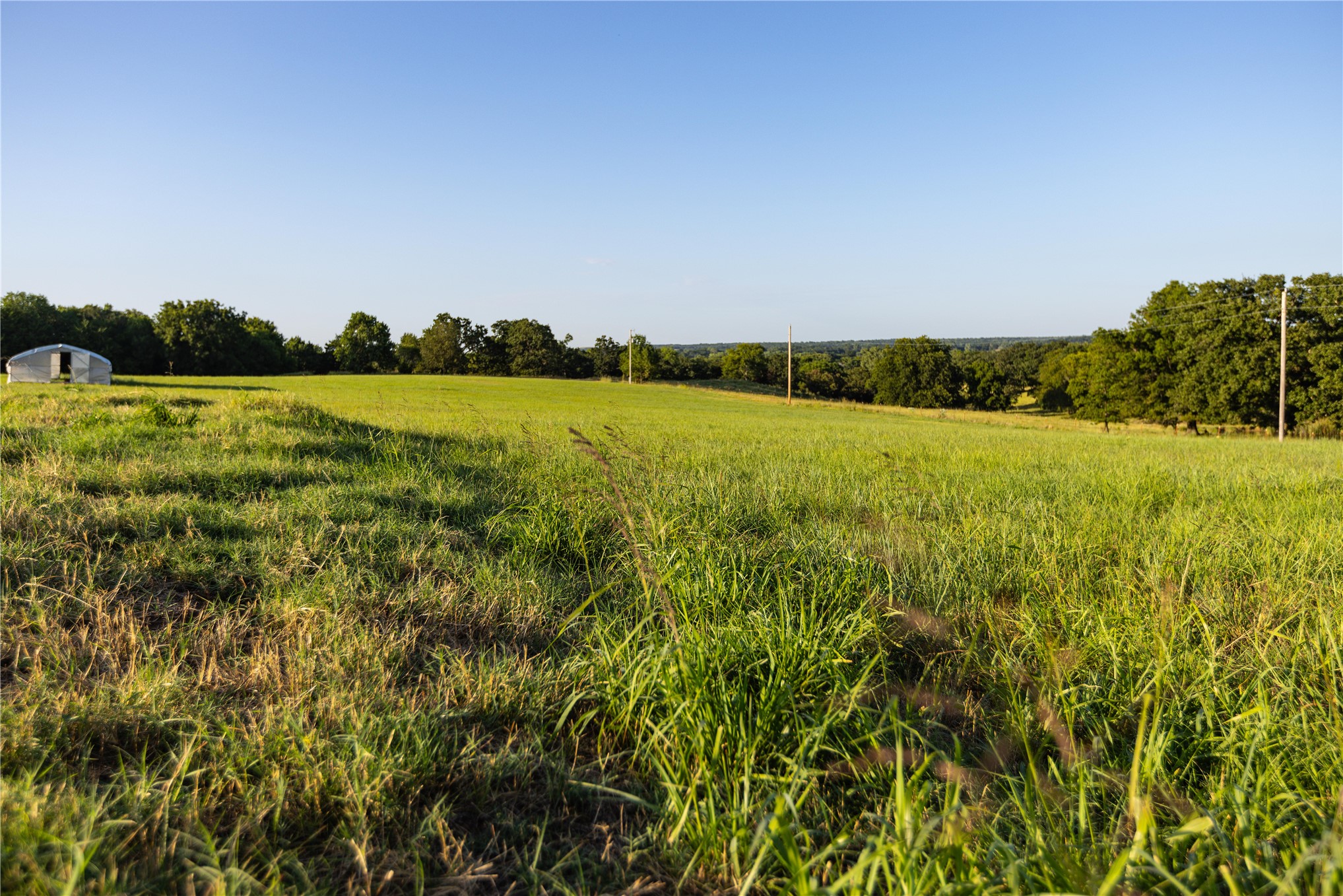0000 W Dunkin Road Property Photo 61