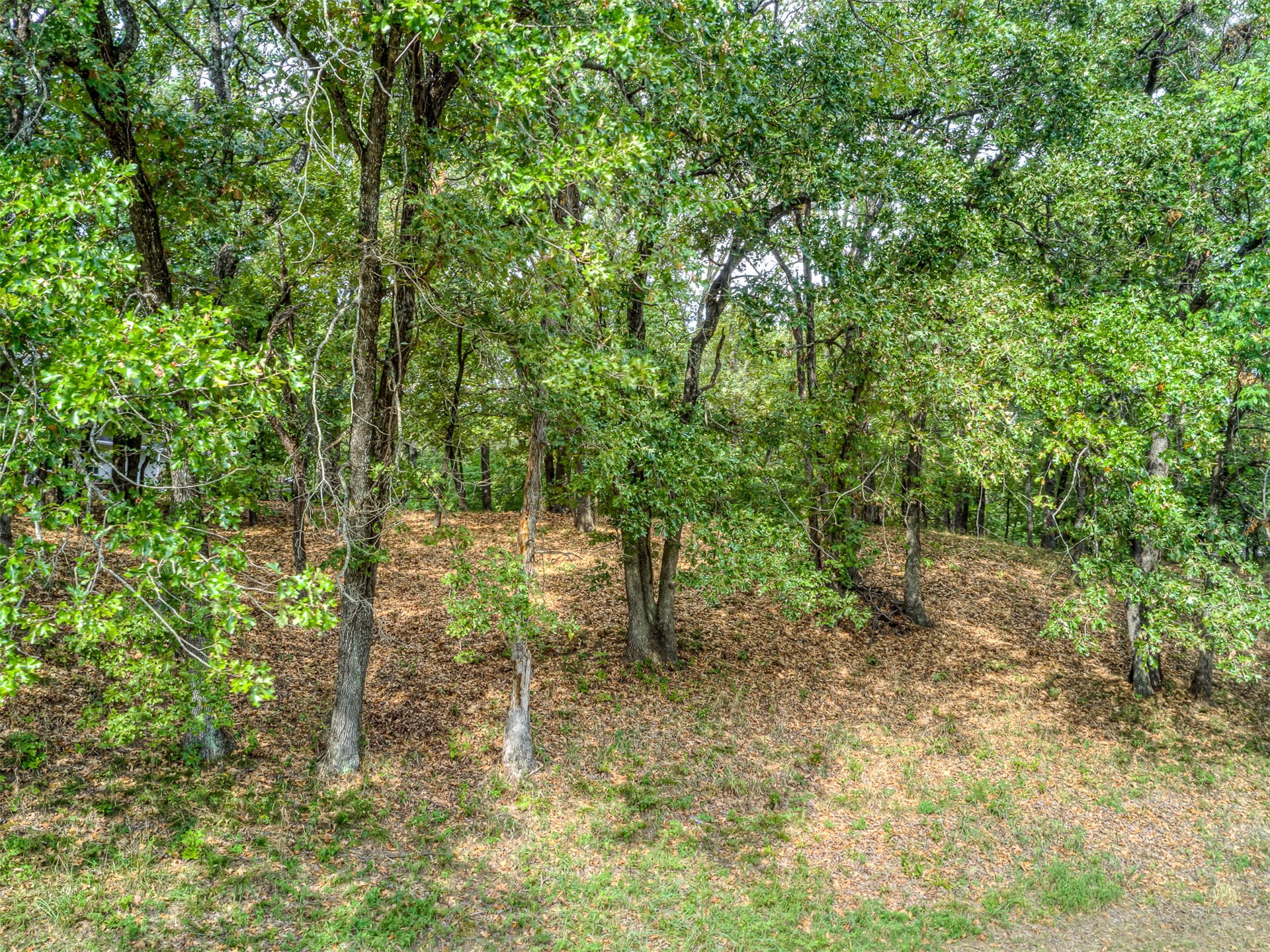 14th Avenue Property Photo 1