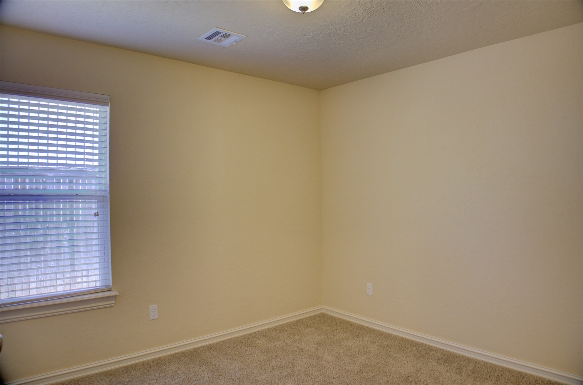 10715 Masters Circle Property Photo 28