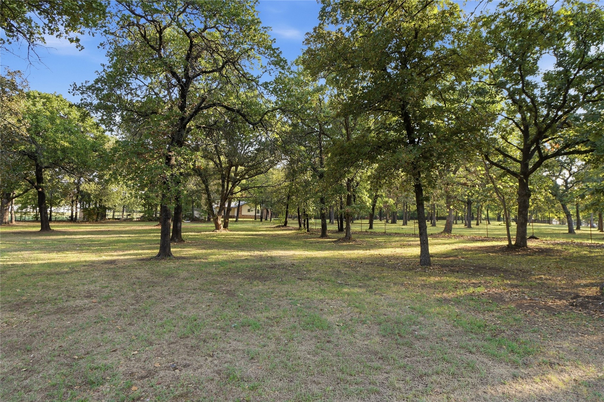 11265 Ferguson Road Property Photo 33
