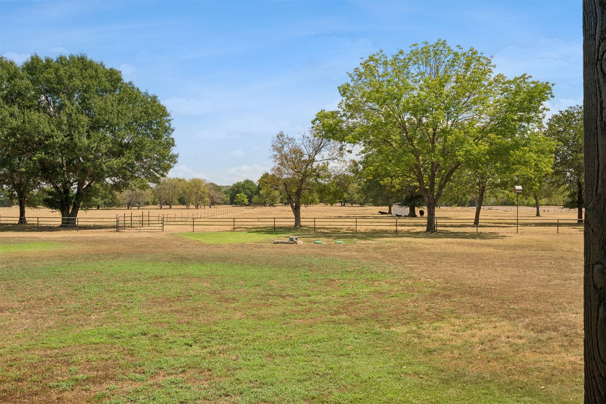 21540 E State Highway 31 Property Photo 72
