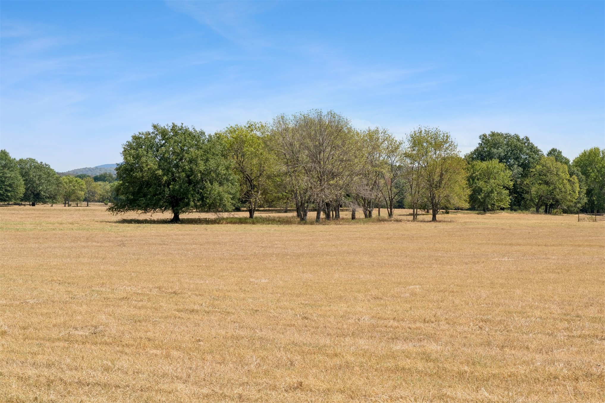 21540 E State Highway 31 Property Photo 80