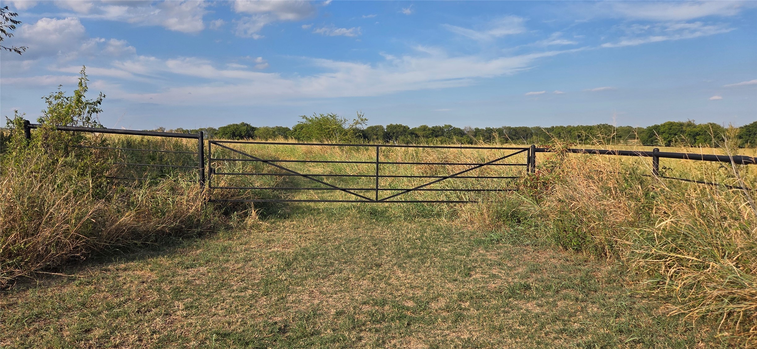 11304 County Road 1620 Property Photo 1
