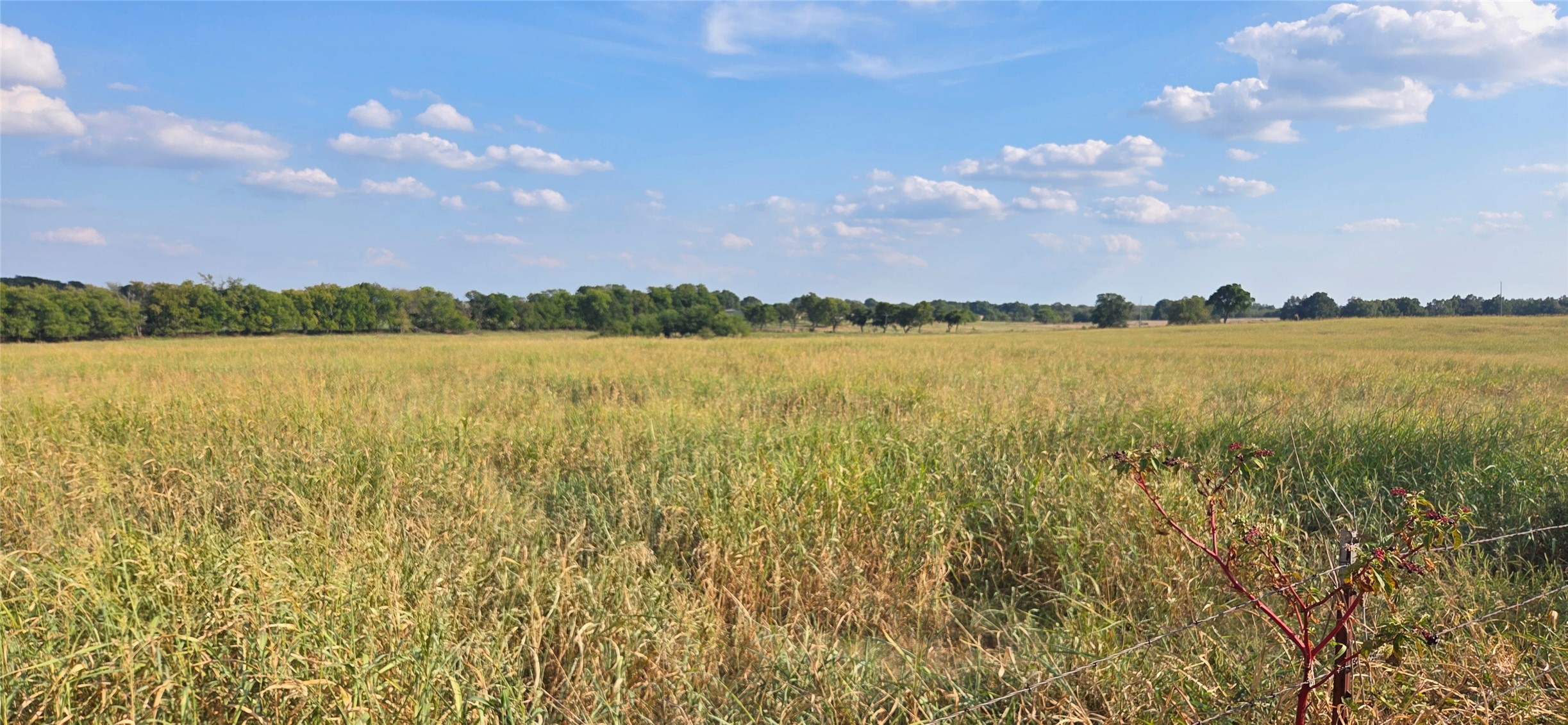 11304 County Road 1620 Property Photo 2