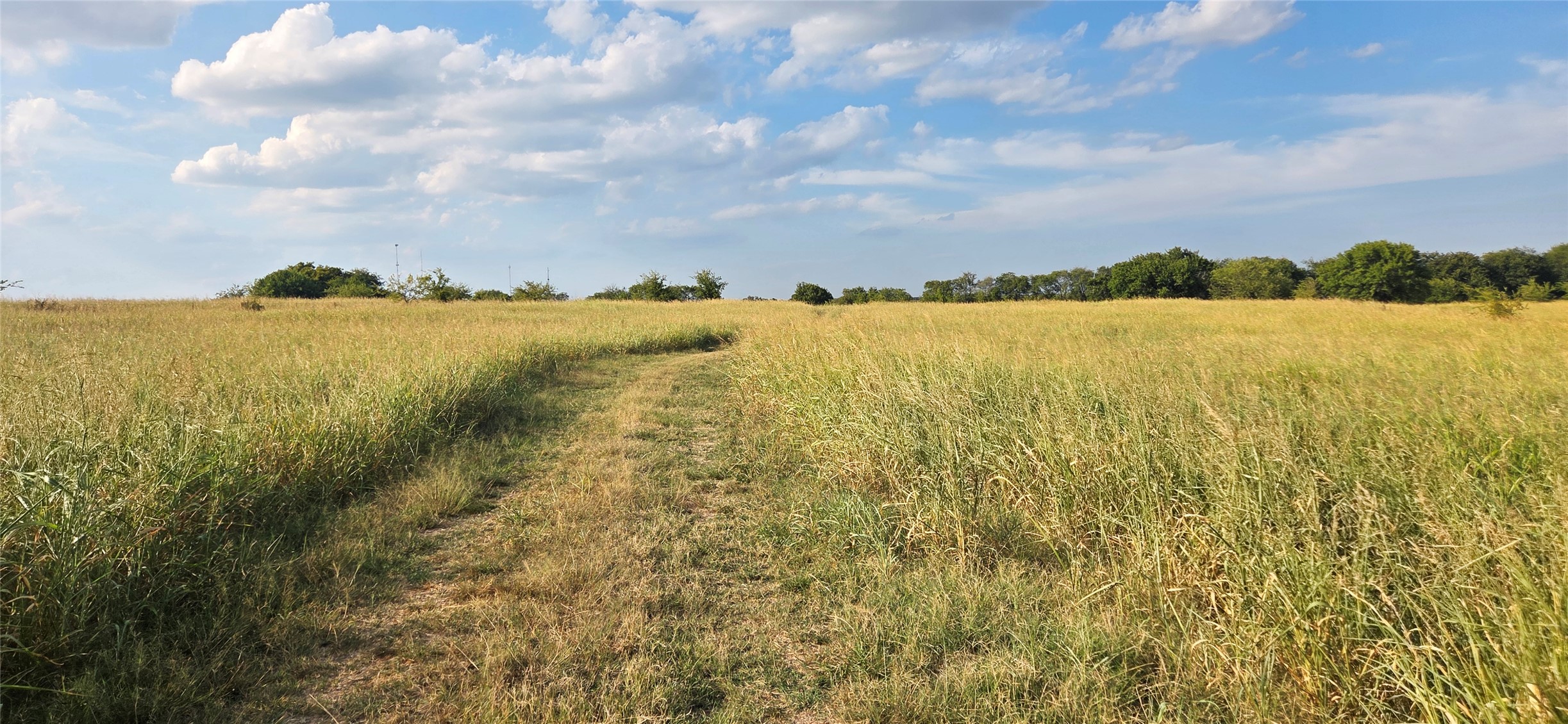 11304 County Road 1620 Property Photo 3