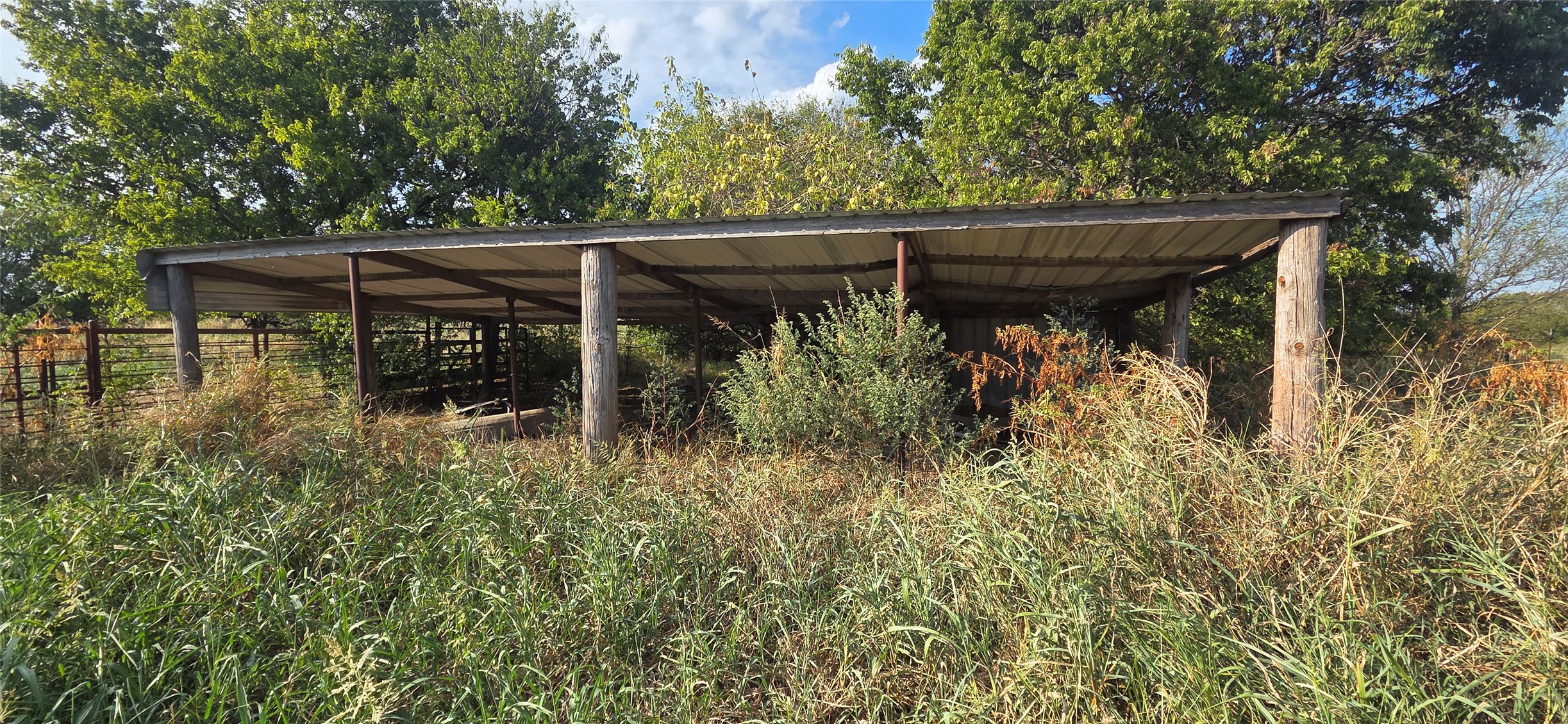 11304 County Road 1620 Property Photo 4