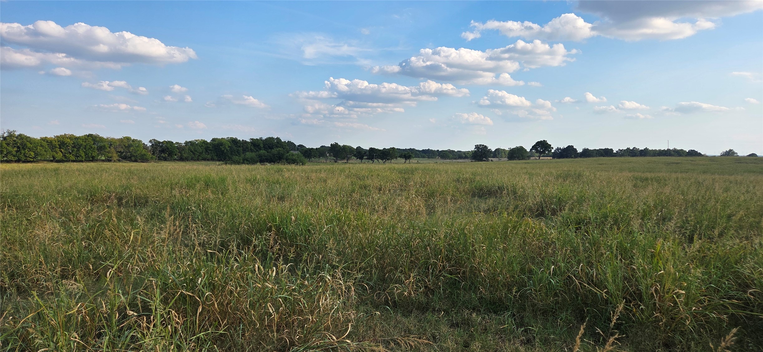 11304 County Road 1620 Property Photo 7
