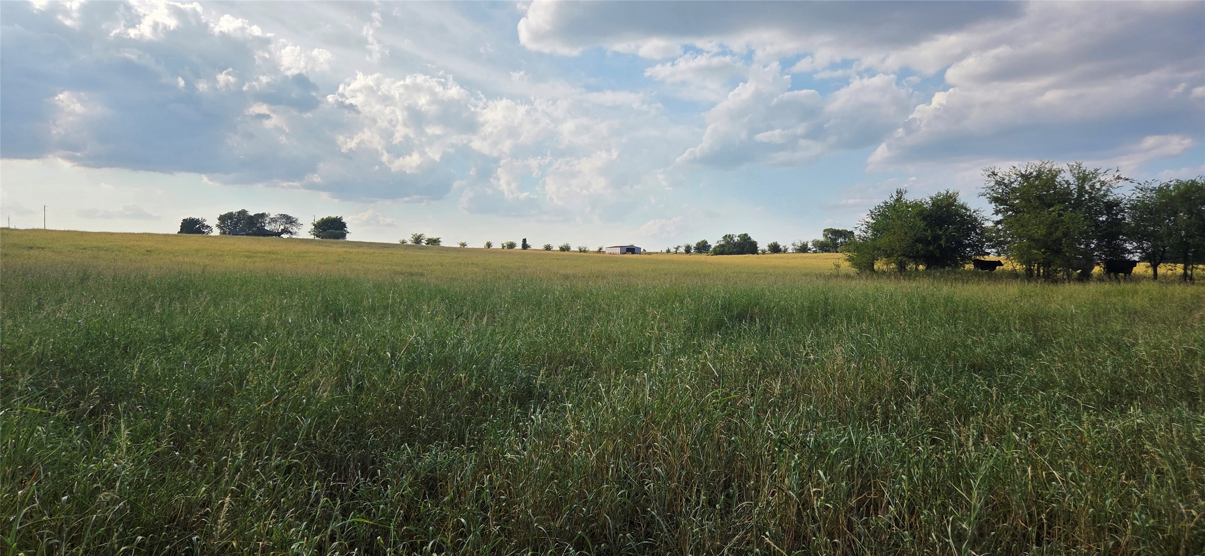 11304 County Road 1620 Property Photo 8