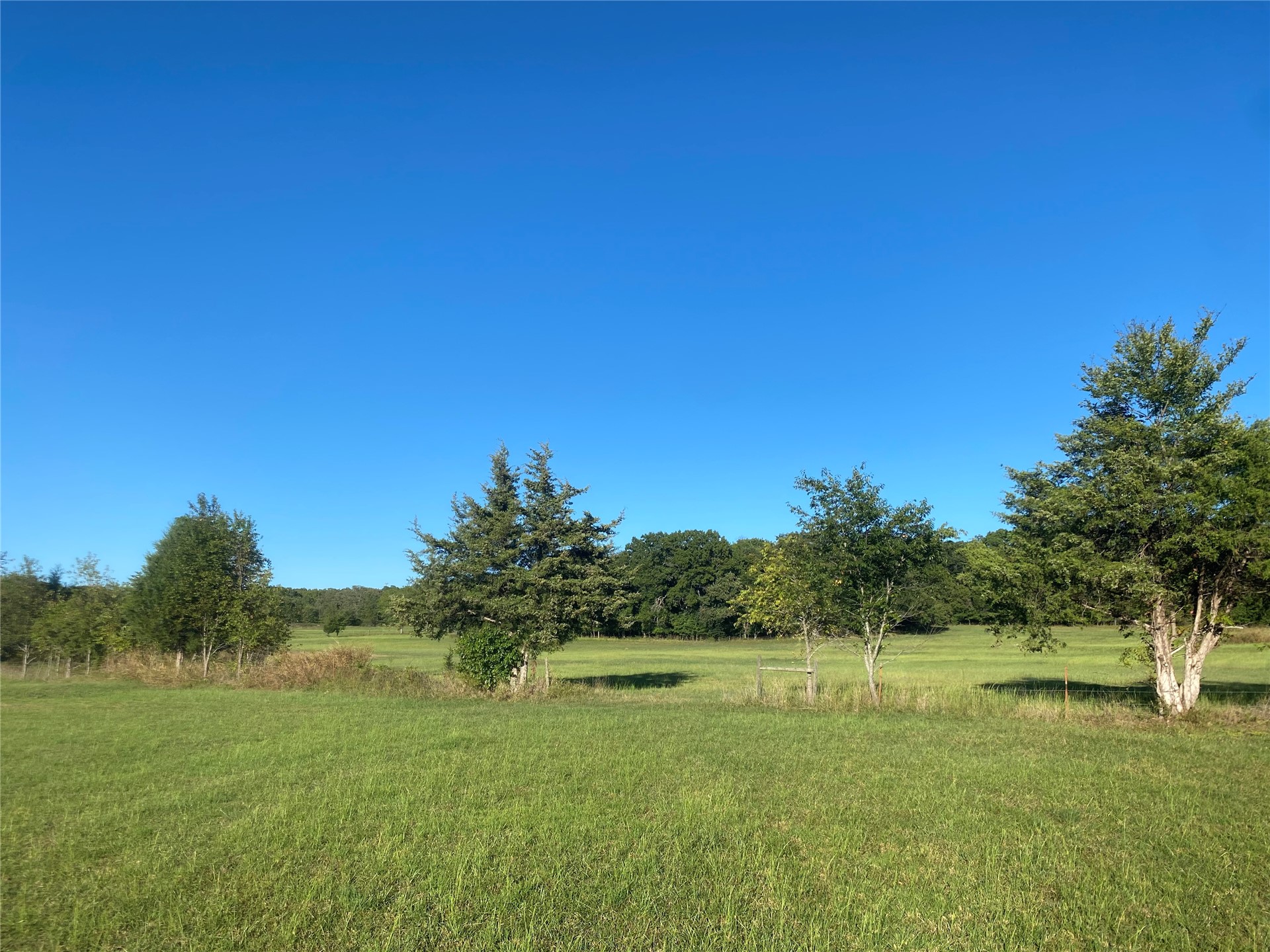 Hwy 62 Property Photo 3