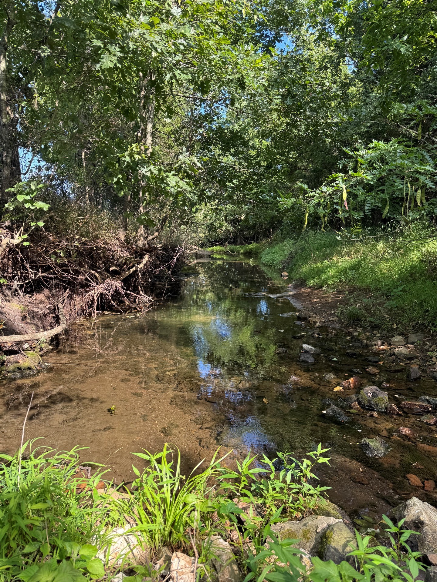 Hwy 62 Property Photo 4