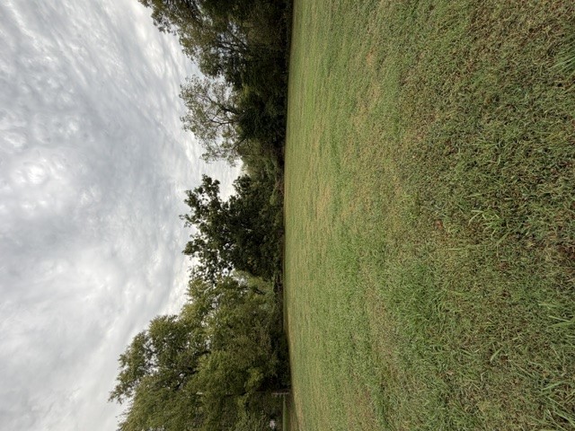813 Walnut Street Property Photo 1