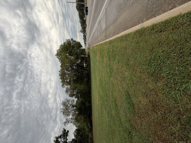 813 Walnut Street Property Photo 2