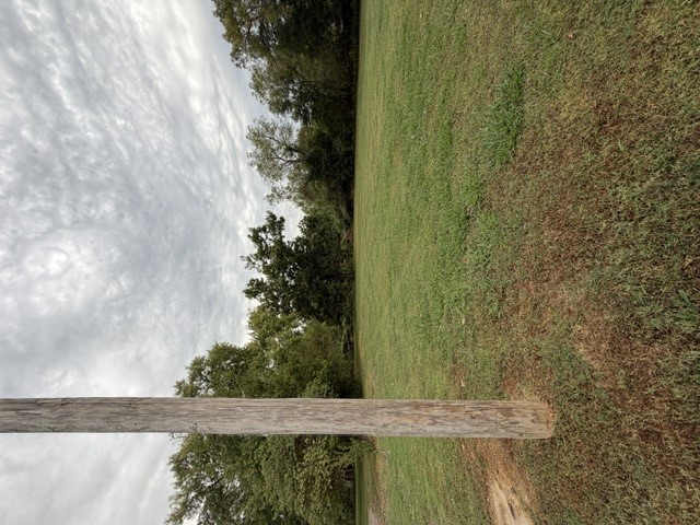813 Walnut Street Property Photo 3