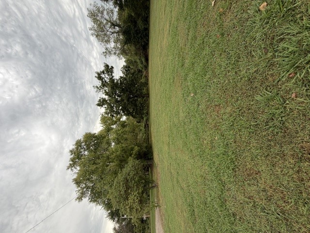 813 Walnut Street Property Photo 4