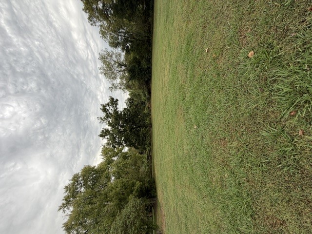 813 Walnut Street Property Photo 5