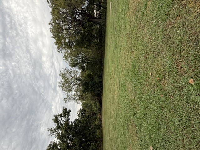 813 Walnut Street Property Photo 6