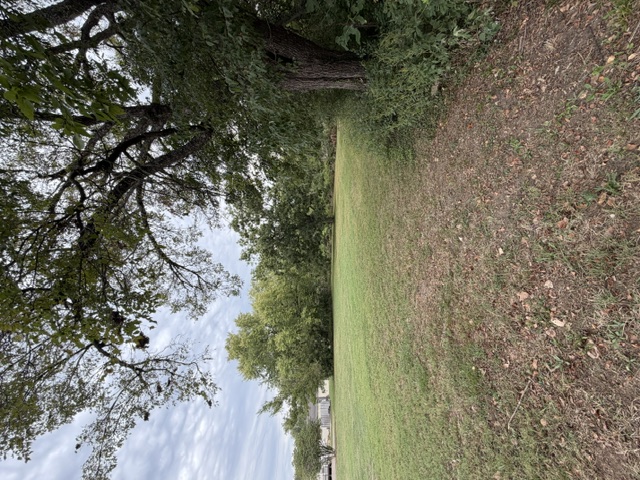 813 Walnut Street Property Photo 7