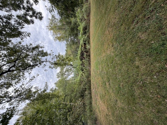 813 Walnut Street Property Photo 9