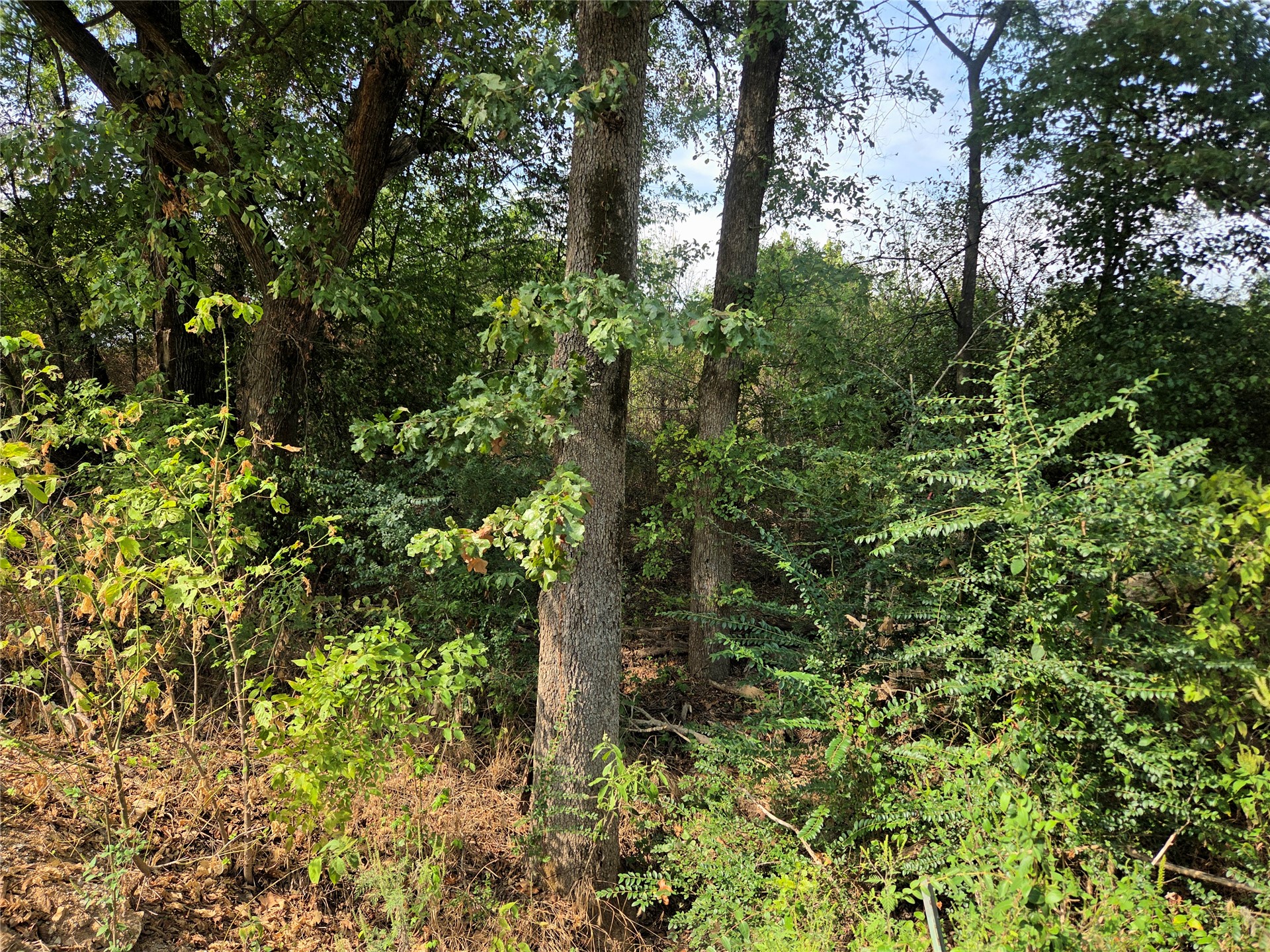 71193 S 4710 Road Property Photo 15