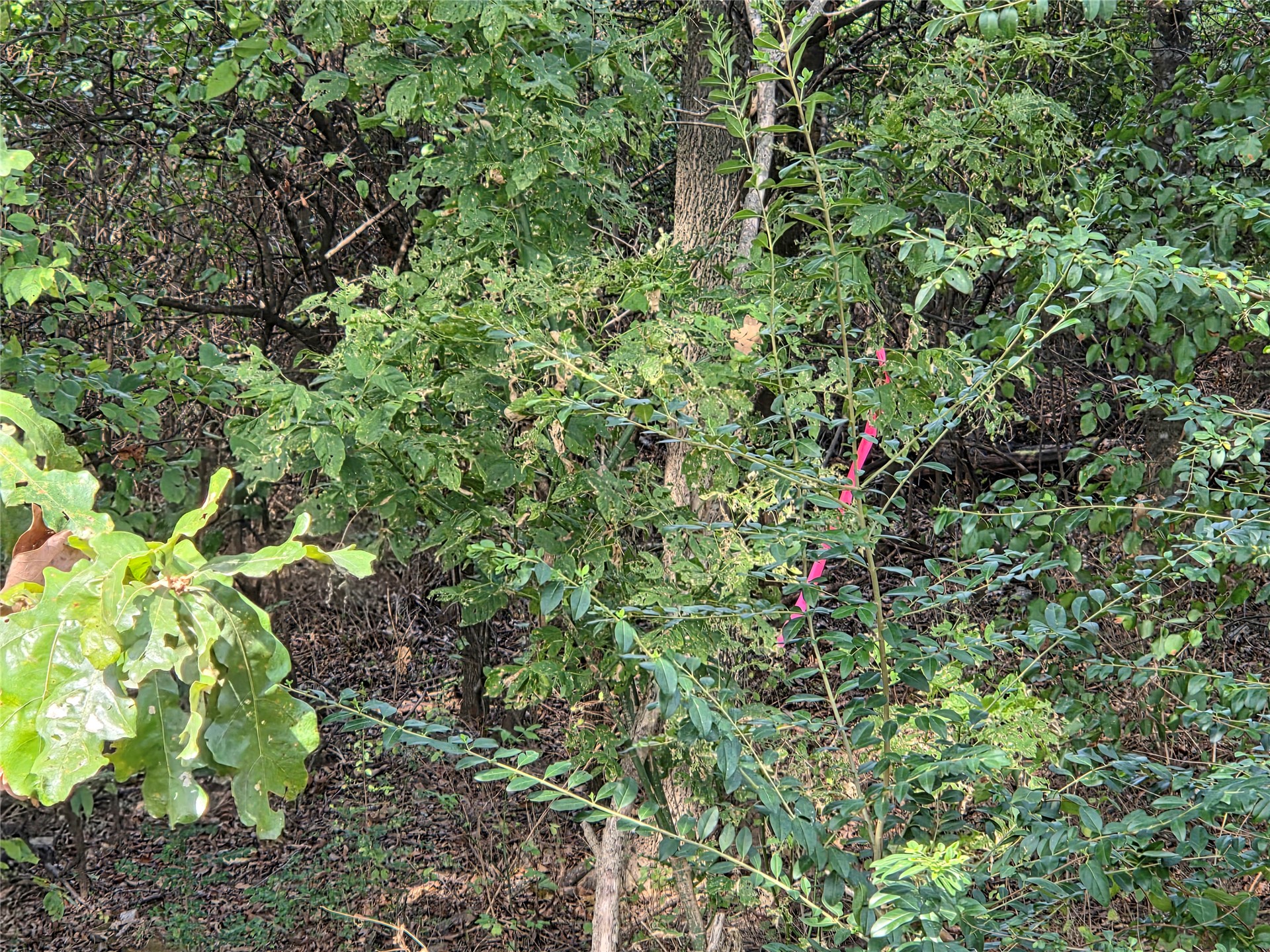 71193 S 4710 Road Property Photo 16