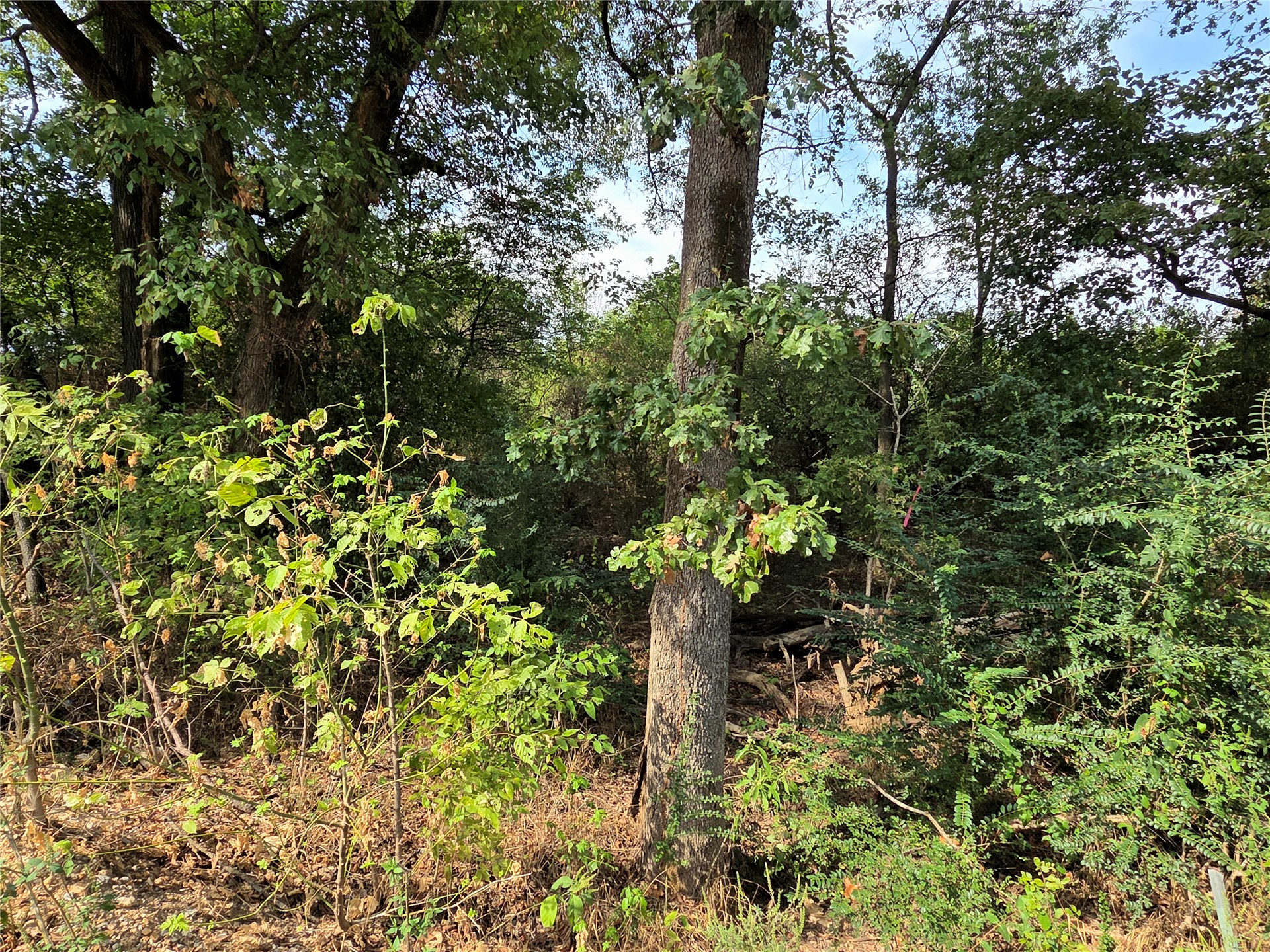 71193 S 4710 Road Property Photo 17