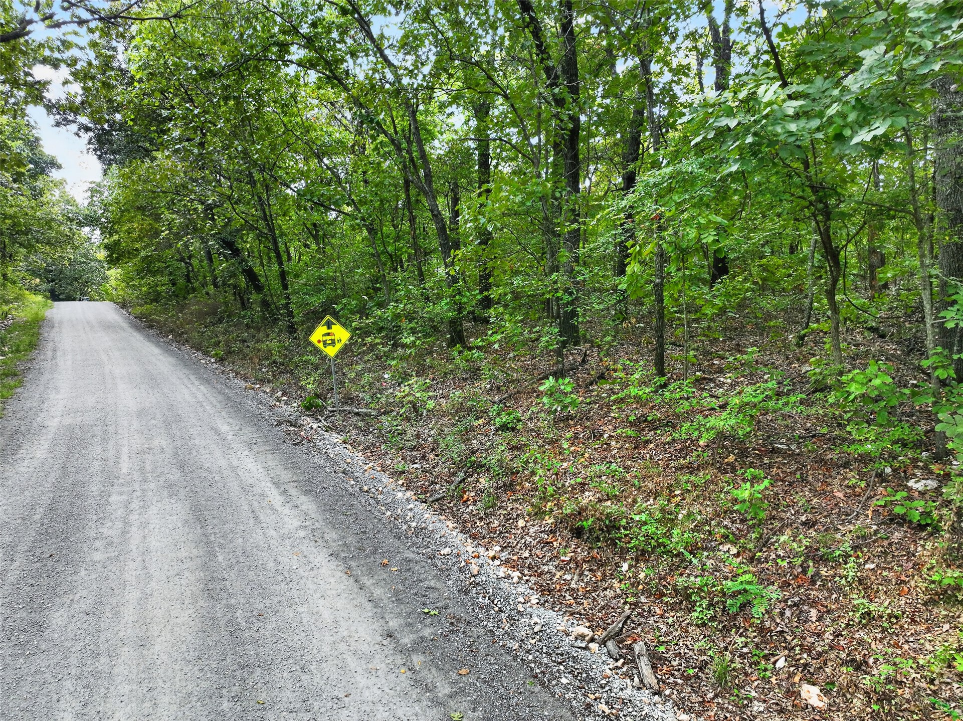 E 610 Road Property Photo 4
