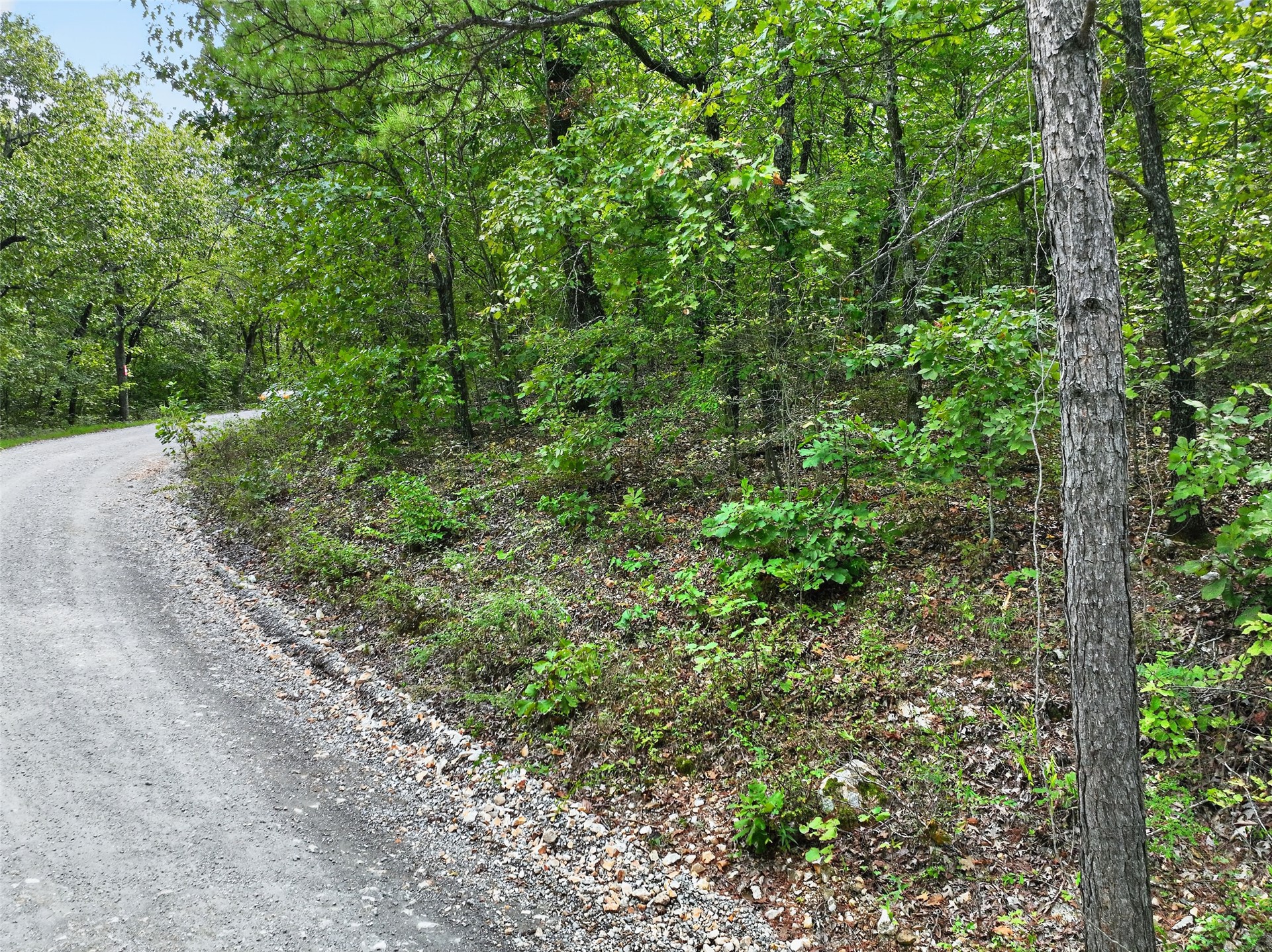 E 610 Road Property Photo 17