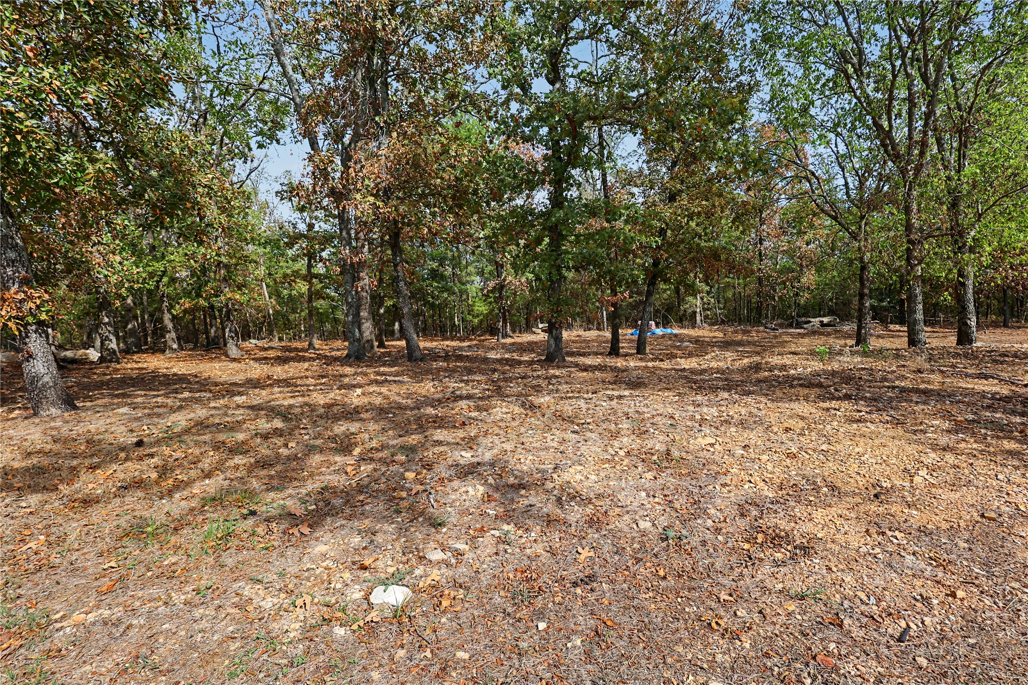 30812 S 550 Road Property Photo 23