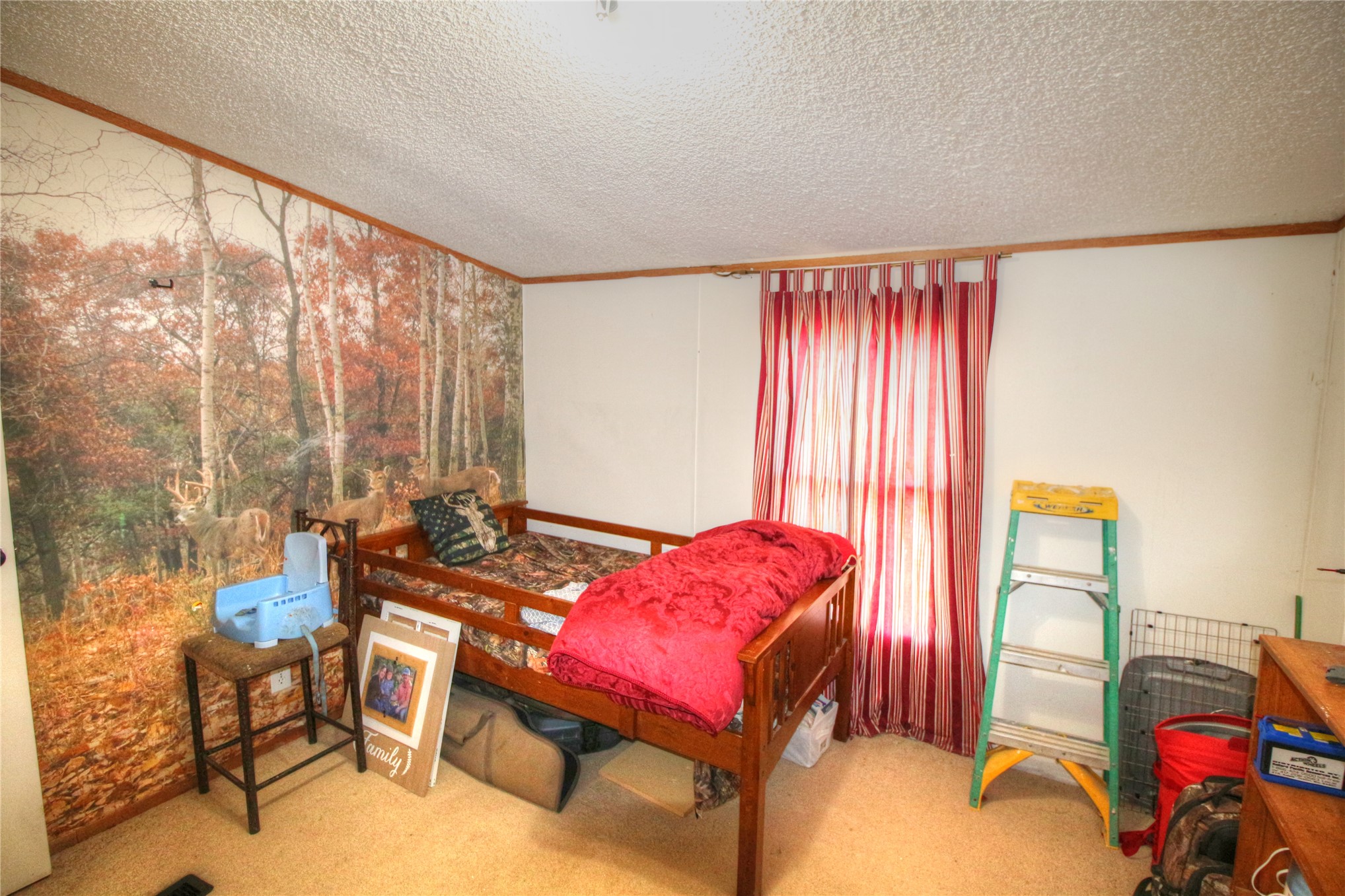 5924 Hummingbird Property Photo 18