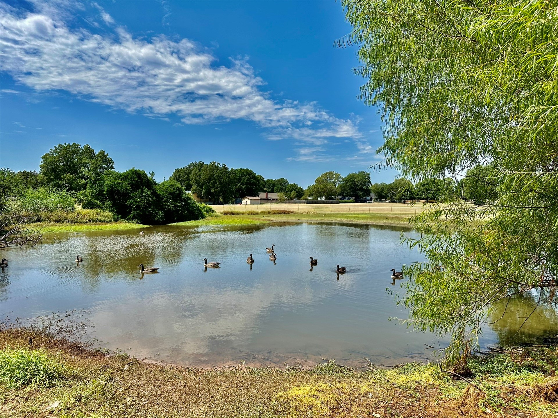 Osage Property Photo 4