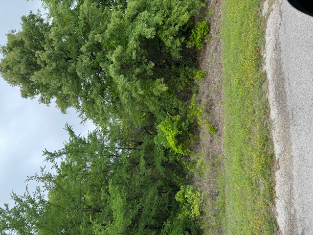 0 Falconhead Property Photo 2