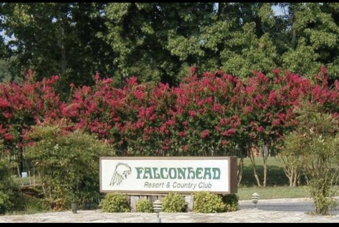 0 Falconhead Property Photo 4