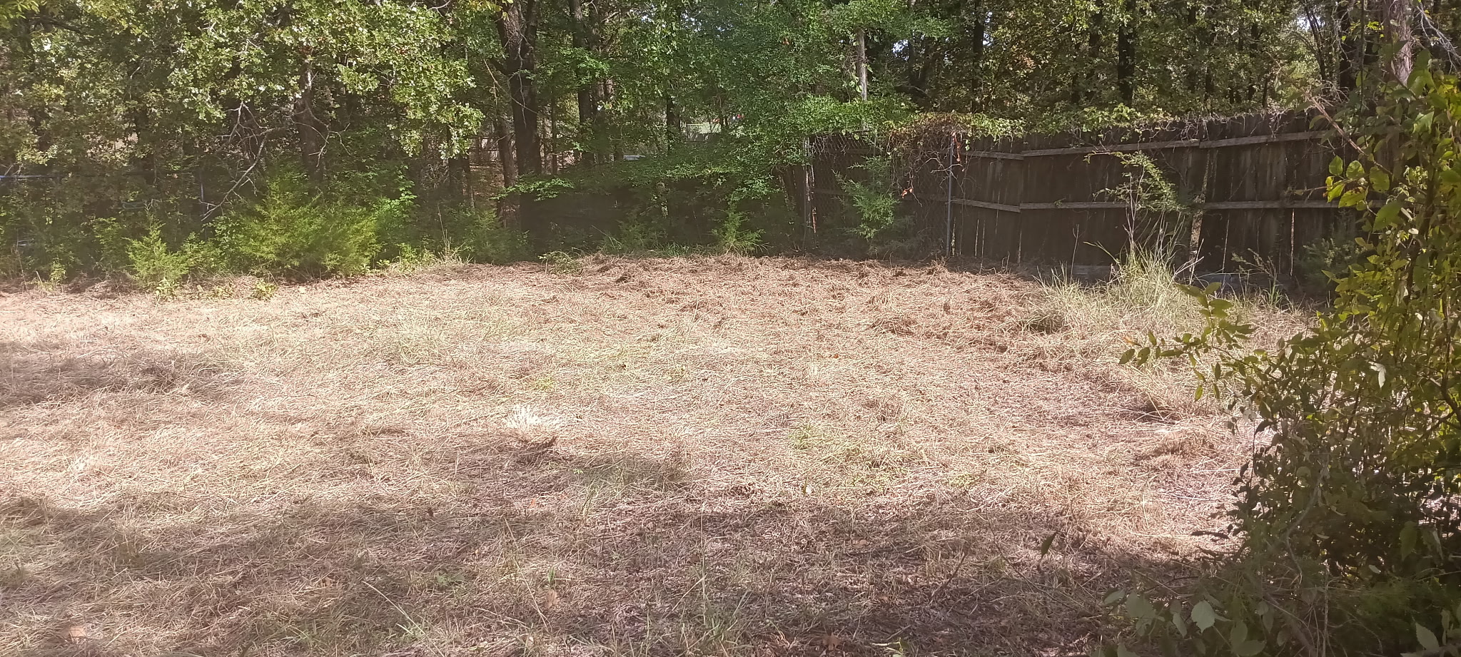 2411 Arapaho Road Property Photo 15