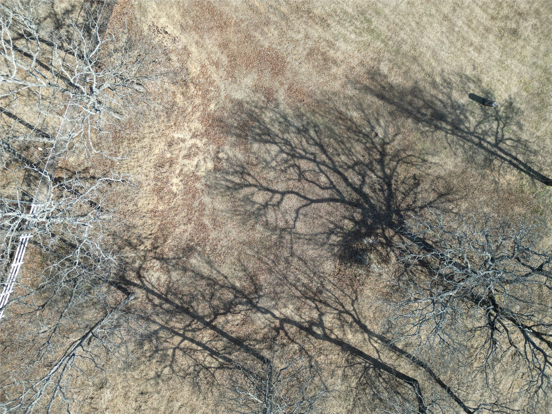 County Road 1541 Property Photo 6