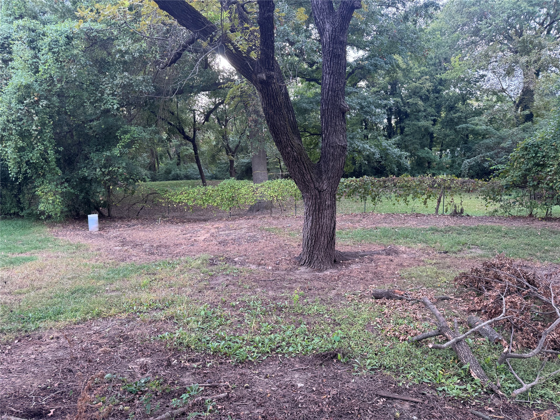 522 S Bristow Avenue Property Photo 12