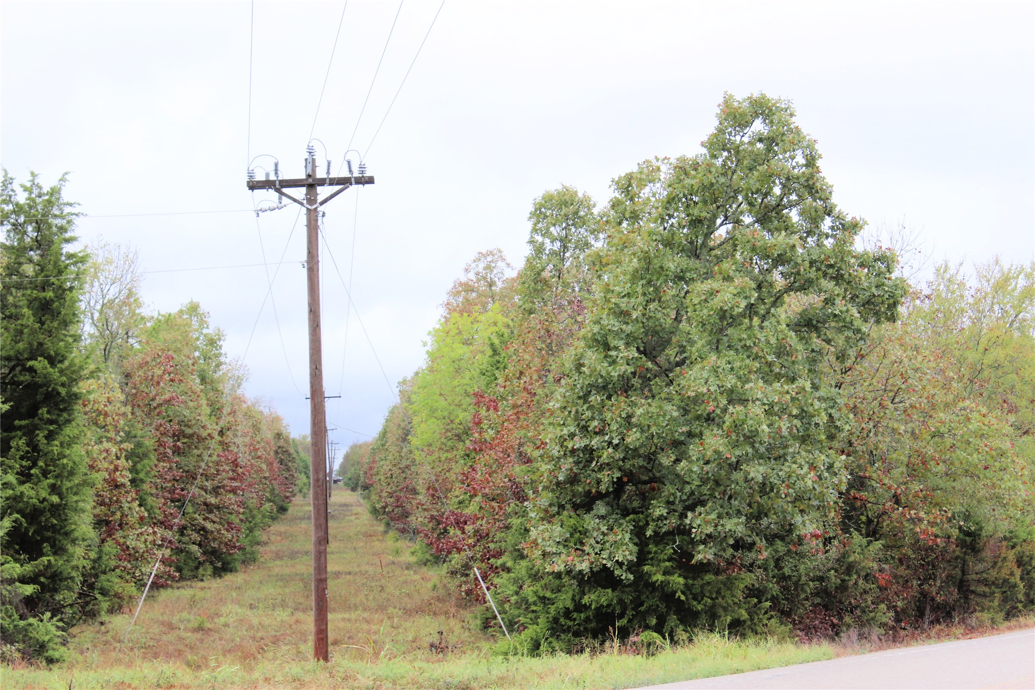 271 E 1931 Road Property Photo 7