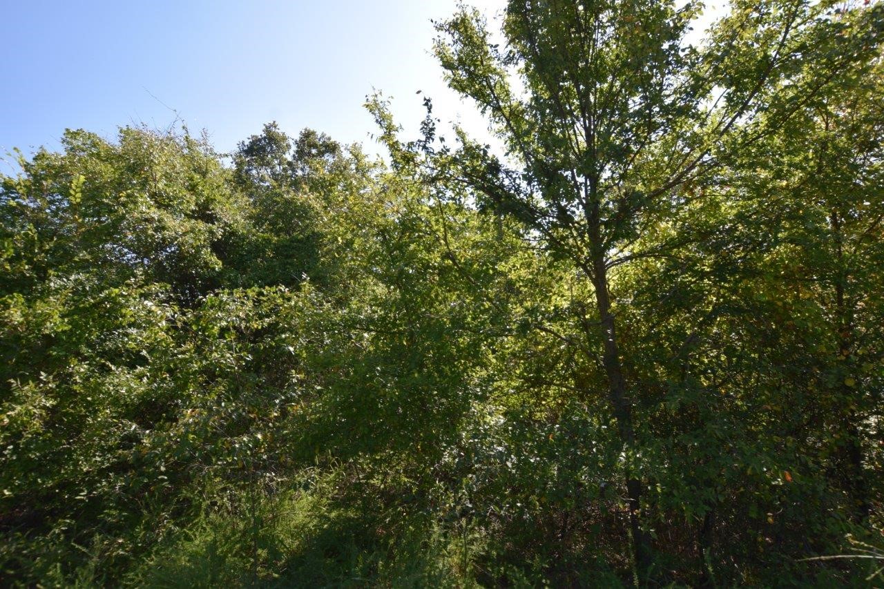 93803 S 4729 Road Property Photo 38
