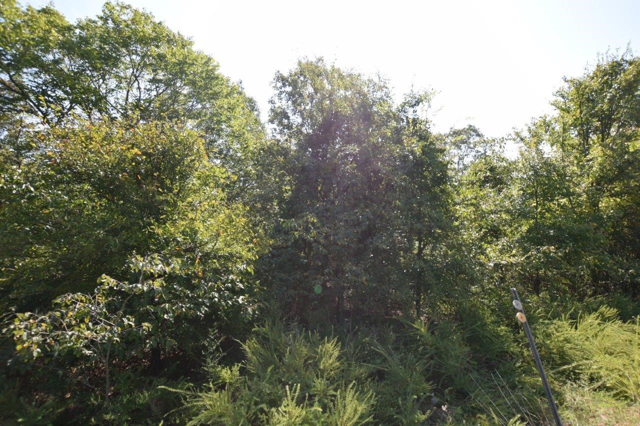 93803 S 4729 Road Property Photo 39