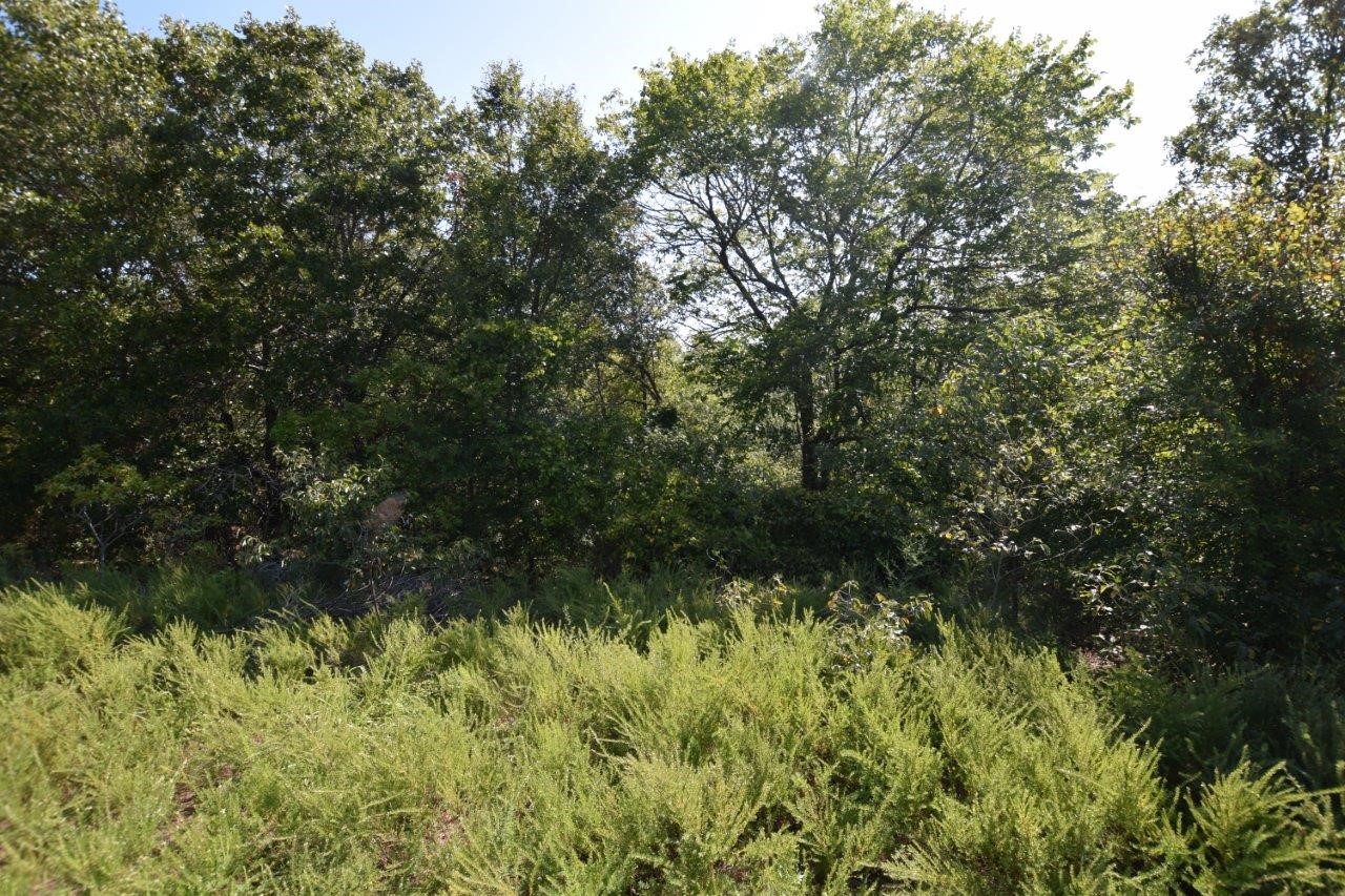 93803 S 4729 Road Property Photo 40