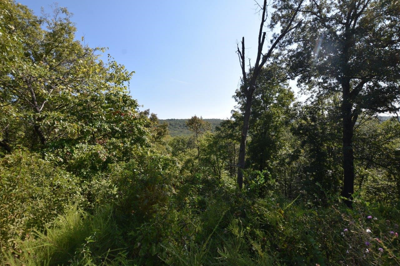 93803 S 4729 Road Property Photo 41