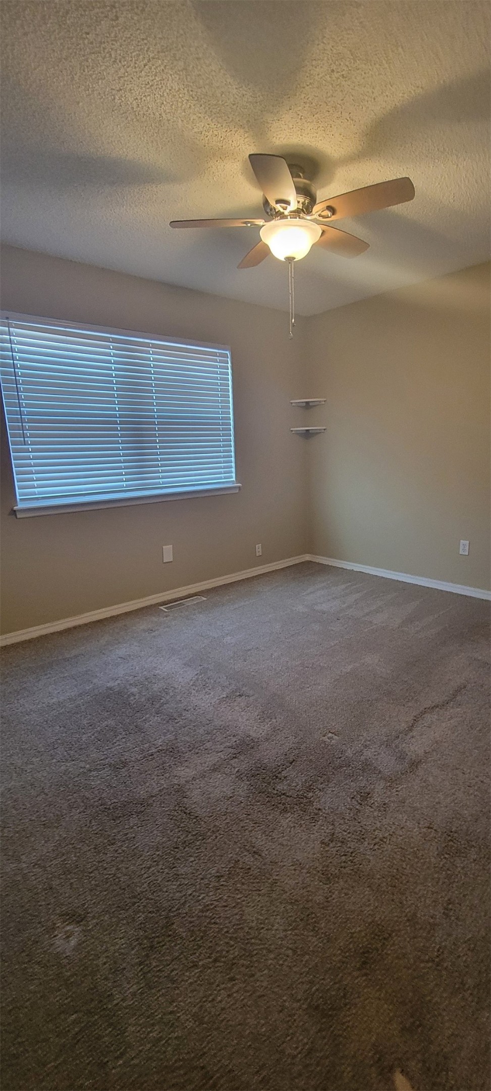 404 Antigua Court Property Photo 19
