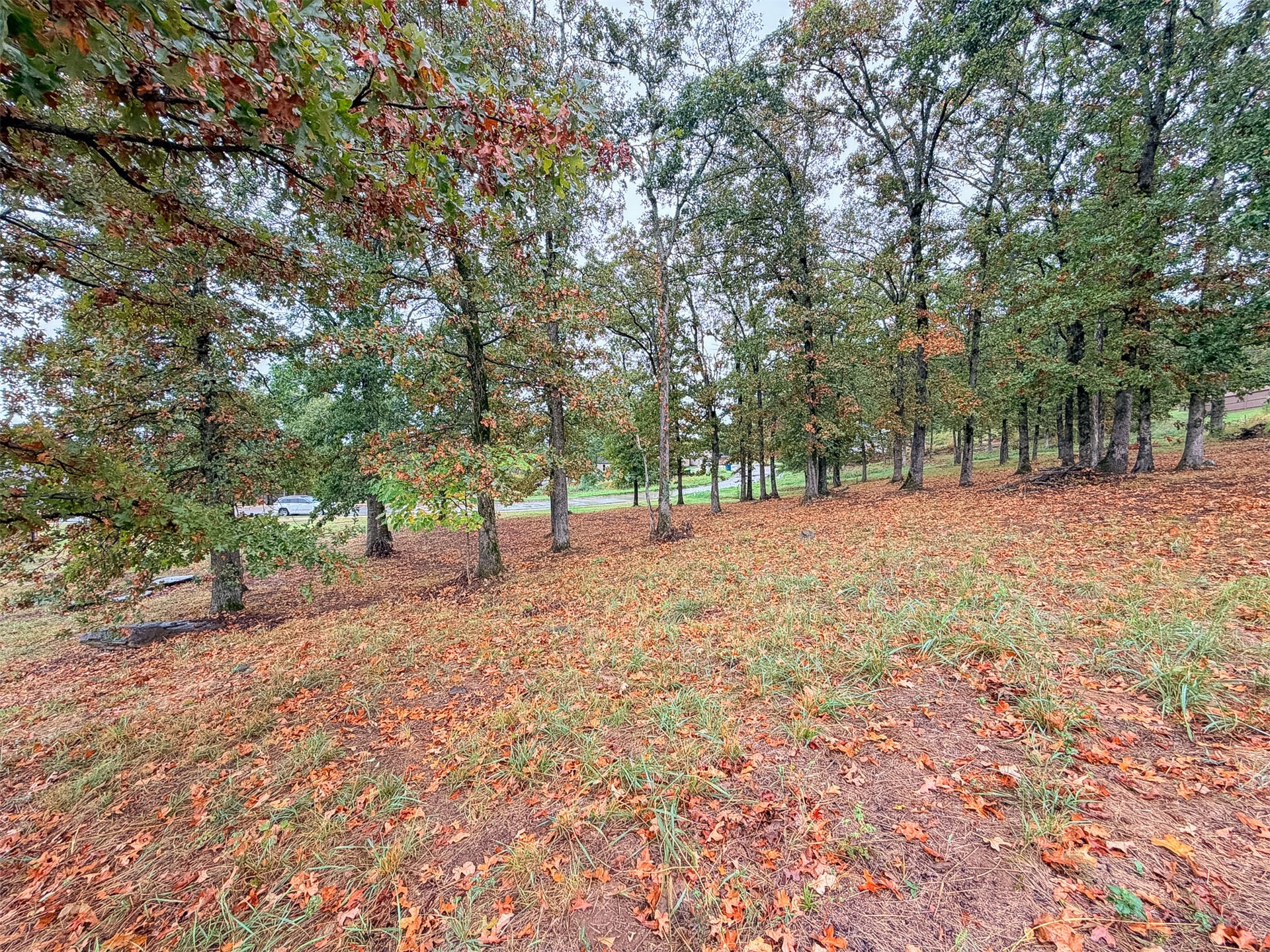 626 Woodlands Drive Property Photo 12