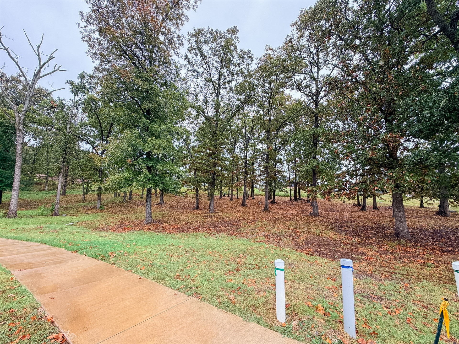 644 Woodlands Drive Property Photo 7