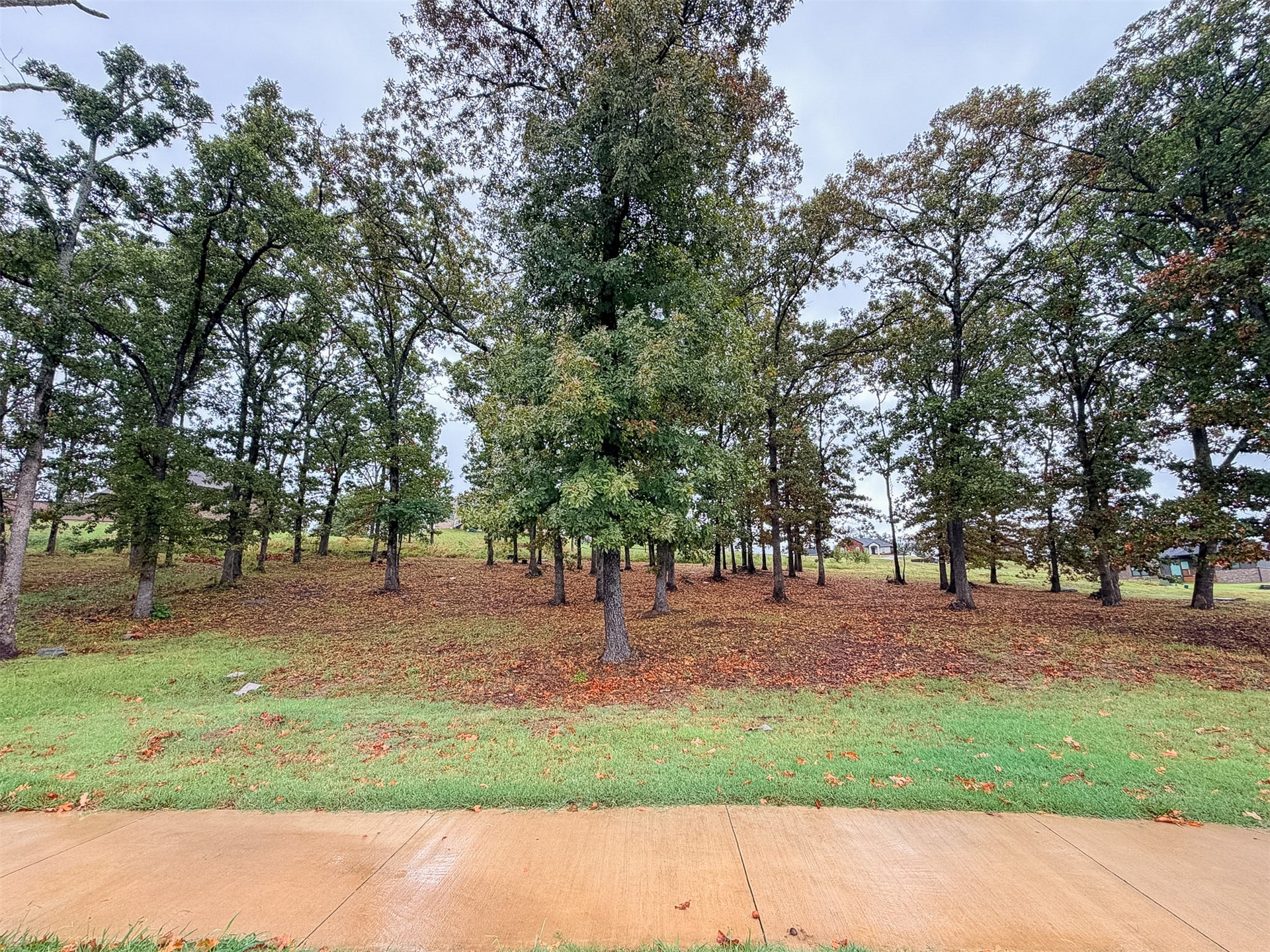 644 Woodlands Drive Property Photo 8