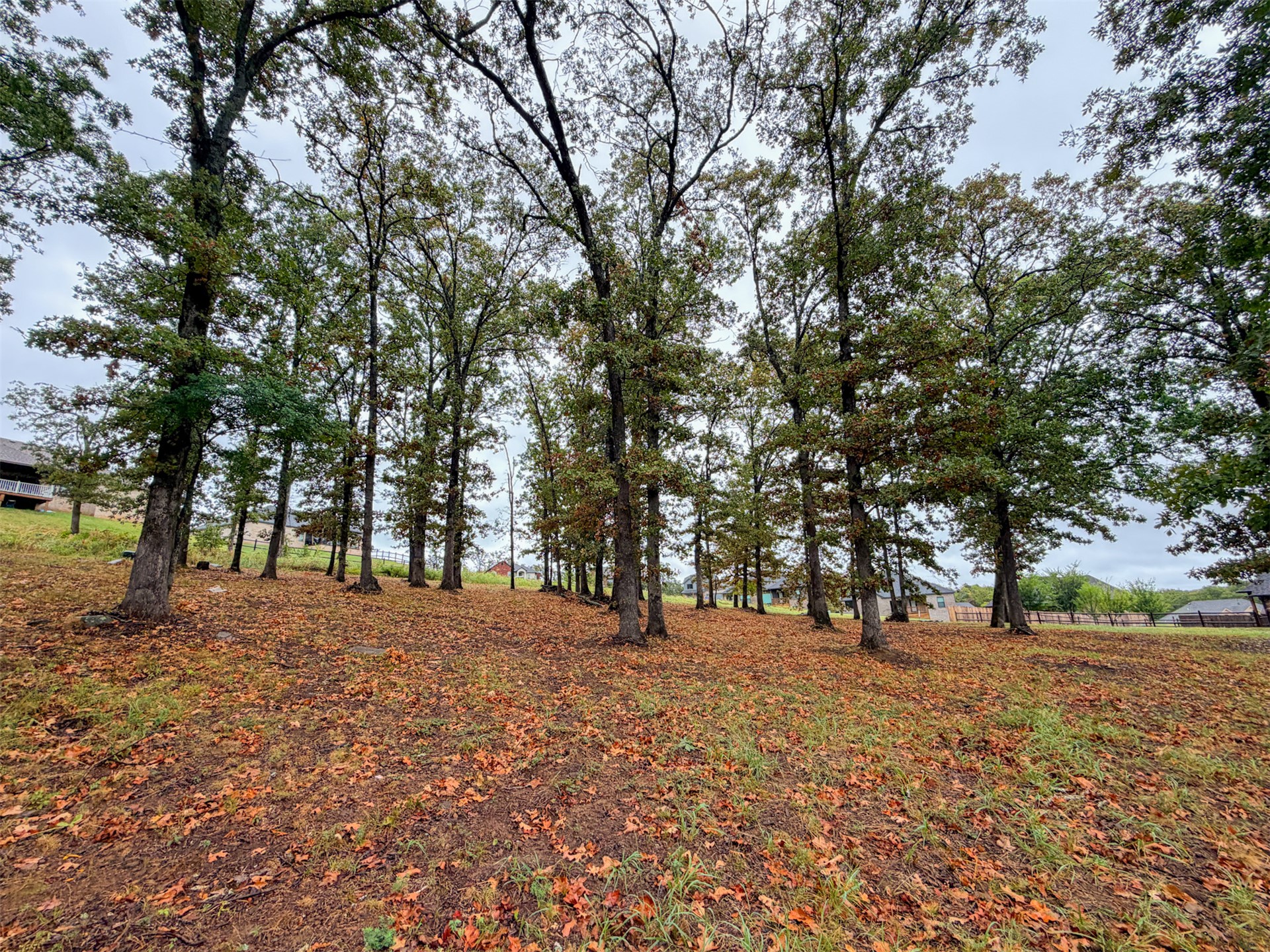 644 Woodlands Drive Property Photo 11
