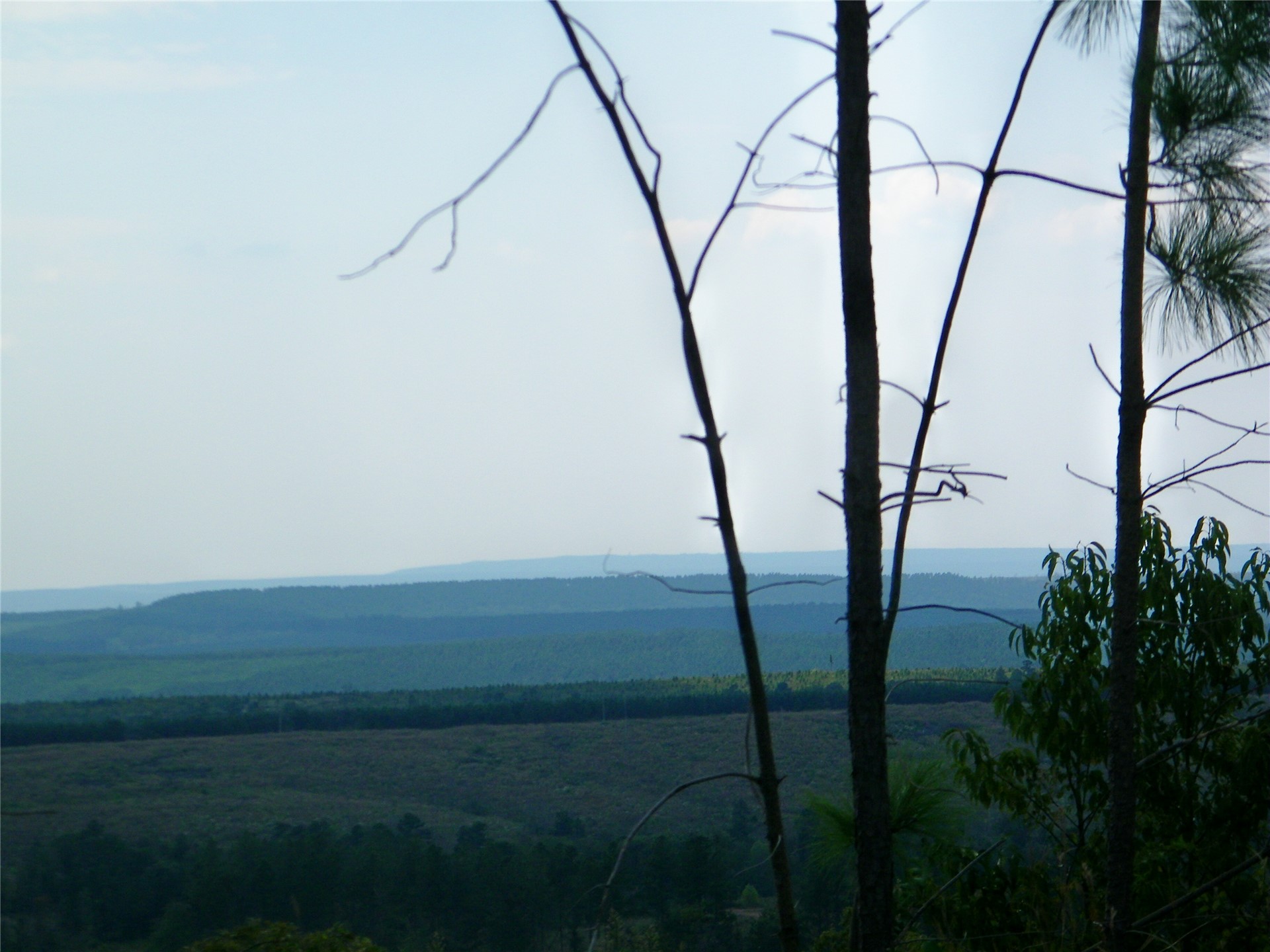 259 Highway Property Photo 1