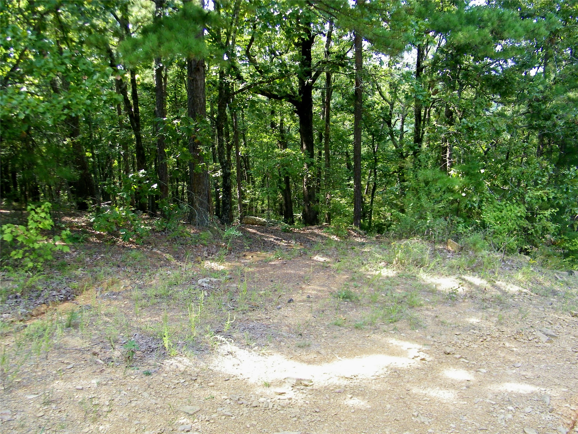 259 Highway Property Photo 10